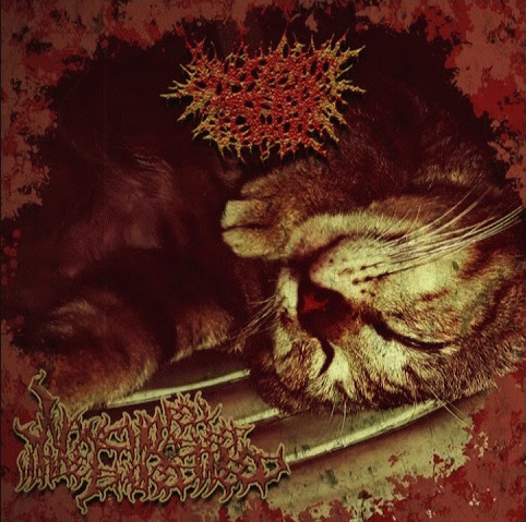 Arschloch, Der Das : Juancho Feels Asleep While I Smoke Weed Arschloch, Der Das : Juancho Feels Asleep While I Smoke Weed